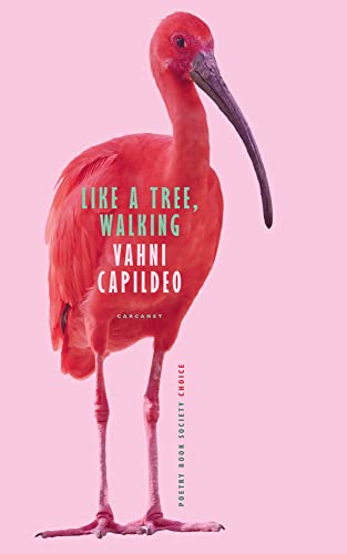 Stock image for Like a Tree, Walking for sale by WorldofBooks