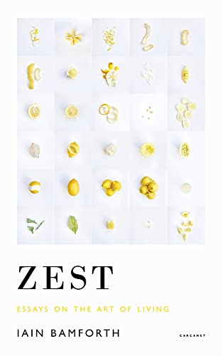 Imagen de archivo de Zest: Essays on the Art of Living a la venta por WorldofBooks