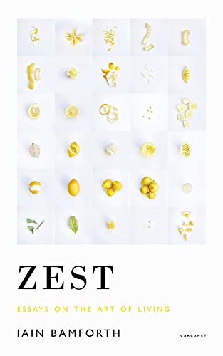 Stock image for Zest: Essays on the Art of Living for sale by WorldofBooks