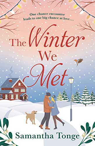 Stock image for The Winter We Met for sale by WorldofBooks