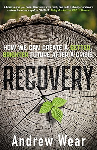 Immagine dell'editore per Recovery : How We Can Create a Better, Brighter Future after a Crisis venduto da Better World Books Ltd