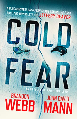 Stock image for Cold Fear for sale by SecondSale