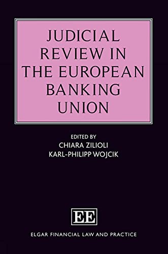 Imagen de archivo de Judicial Review in the European Banking Union (Elgar Financial Law and Practice series) a la venta por PAPER CAVALIER UK