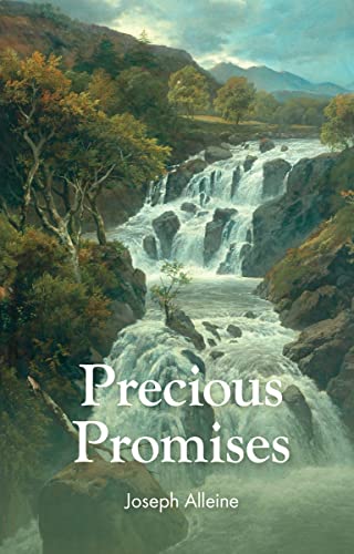 Stock image for Precious Promises for sale by GF Books, Inc.