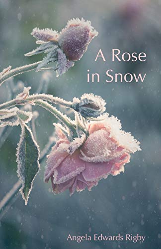 Imagen de archivo de A Rose in Snow a la venta por PBShop.store US