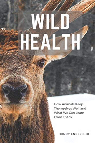 Stock image for Wild Health: How Animals Keep Themselves Well And What We Can Learn From Them for sale by GF Books, Inc.