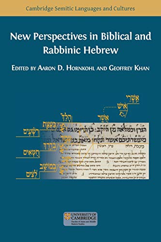 Imagen de archivo de New Perspectives in Biblical and Rabbinic Hebrew a la venta por GreatBookPrices