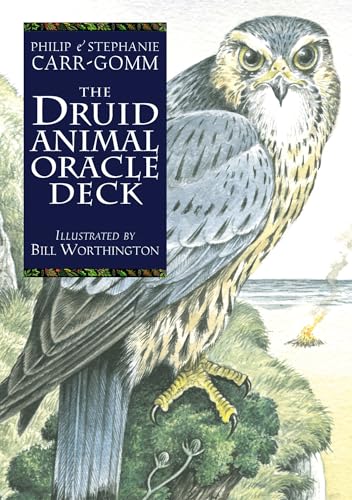 9781800691254: The Druid Animal Deck