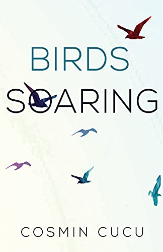 Beispielbild fr Birds Soaring zum Verkauf von GreatBookPrices