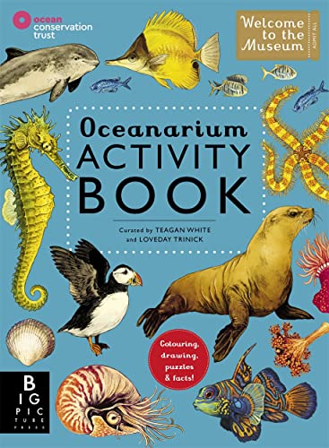 Beispielbild fr Oceanarium Activity zum Verkauf von Blackwell's