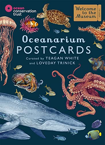 Beispielbild fr Oceanarium Postcards zum Verkauf von GreatBookPrices