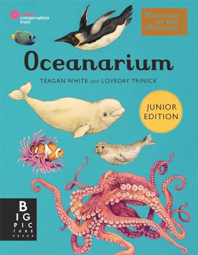 9781800784895: Oceanarium (Junior Edition)