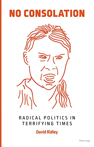 Beispielbild fr No Consolation: Radical Politics in Terrifying Times zum Verkauf von WorldofBooks