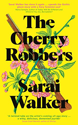 Stock image for The Cherry Robbers for sale by WorldofBooks