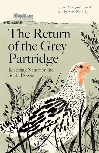 Beispielbild fr The Return of the Grey Partridge zum Verkauf von Blackwell's