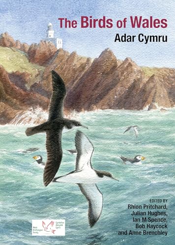 Beispielbild fr The Birds of Wales zum Verkauf von Brook Bookstore