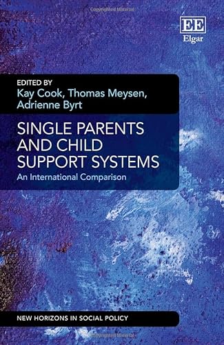 Beispielbild fr Single Parents and Child Support Systems zum Verkauf von Blackwell's