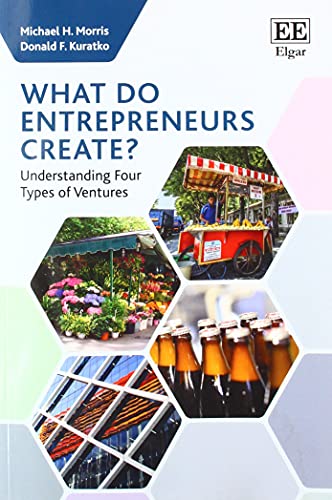 Imagen de archivo de What do Entrepreneurs Create?: Understanding Four Types of Ventures a la venta por Goodwill Books