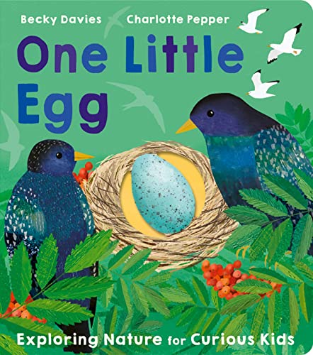 Stock image for One Little Egg for sale by AwesomeBooks