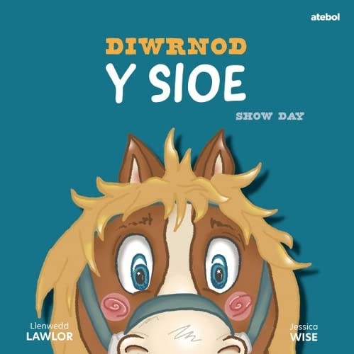 Stock image for Diwrnod y Sioe / Show Day for sale by WorldofBooks