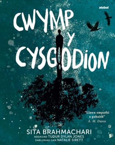 Imagen de archivo de Darllen Yn Well: Cwymp Y Cysgodion a la venta por GreatBookPrices