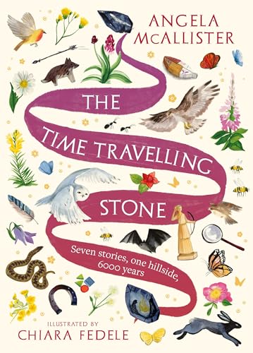 Imagen de archivo de The Time Travelling Stone a la venta por Blackwell's