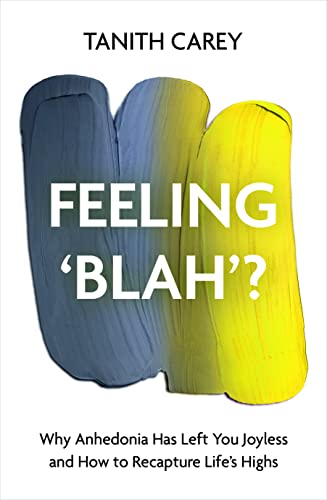 9781801292375: Feeling 'Blah'?: Why Life Feels Joyless and How to Recapture Its Highs