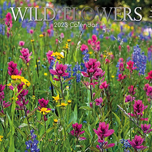 Beispielbild fr Wild Flowers - Wildblumen 2023 - 16-Monatskalender: Original Gifted Stationery-Kalender [Mehrsprachig] [Kalender] zum Verkauf von WorldofBooks