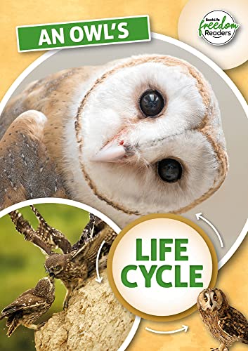 Beispielbild fr An Owl's Life Cycle zum Verkauf von GreatBookPrices