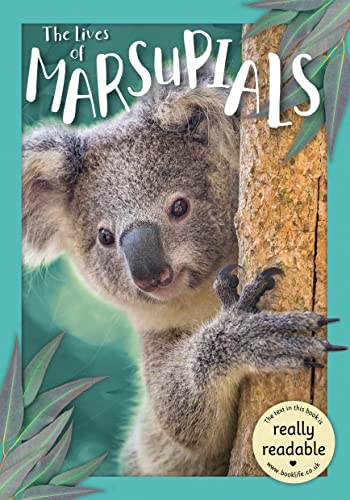 Beispielbild fr The Lives Of Marsupials zum Verkauf von GreatBookPrices