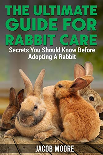 Stock image for The Ultimate Guide for Rabbit Care: Secrets You Should Know Before Adopting A Rabbit for sale by PlumCircle