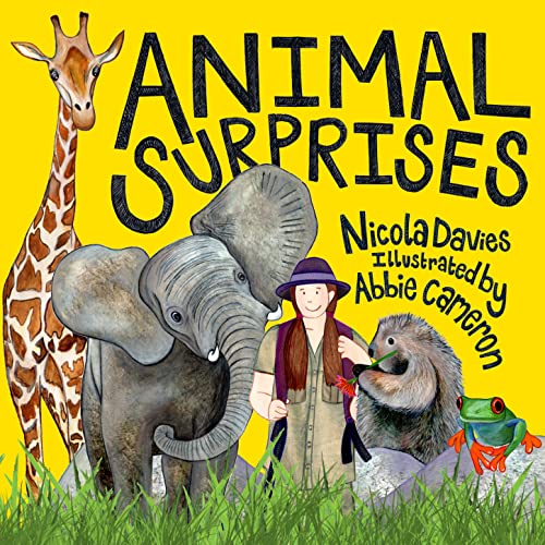 Stock image for Animal Surprises: 1 for sale by WorldofBooks