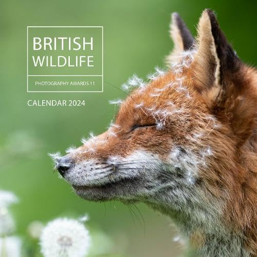 Beispielbild fr British Wildlife Photography Awards Calendar 2024 zum Verkauf von GreatBookPrices