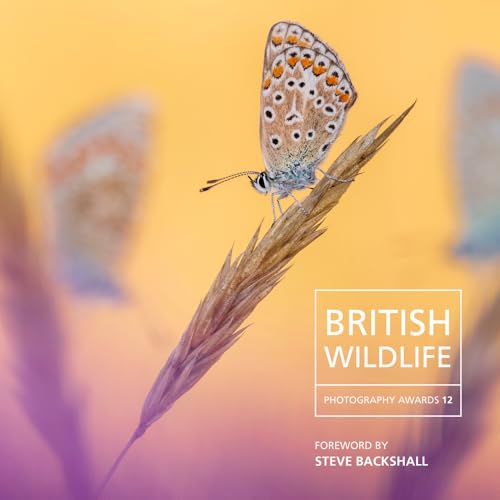 Beispielbild fr British Wildlife Photography Awards 2024 zum Verkauf von GreatBookPrices