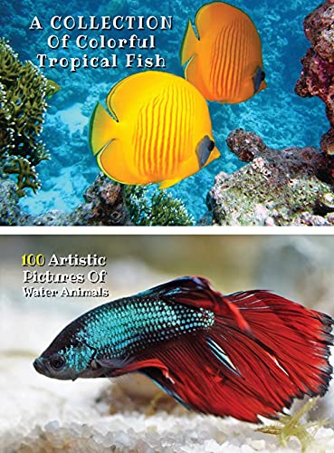 Beispielbild fr A Collection of Colorful Tropical Fish - 100 Artistic Pictures of Water Animals - Full Color HD: Professional Photo Album - The Best Animal Pictures . Cover Version - English Language Edition zum Verkauf von PlumCircle