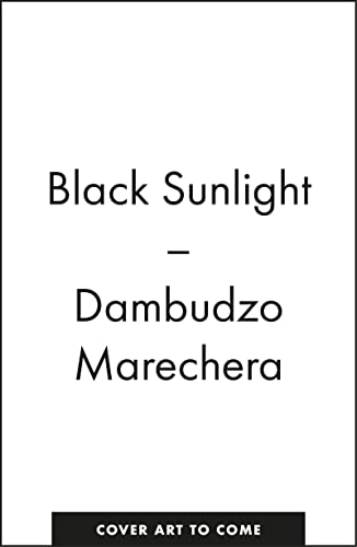 Imagen de archivo de Black Sunlight a la venta por GreatBookPrices