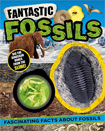 Beispielbild fr Fantastic Fossils zum Verkauf von Better World Books