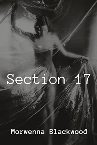 Stock image for Section 17 for sale by PBShop.store US