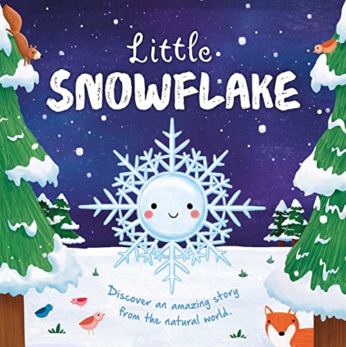 Beispielbild fr Nature Stories: Little Snowflake: Discover an Amazing Story from the Natural World-Padded Board Book zum Verkauf von SecondSale