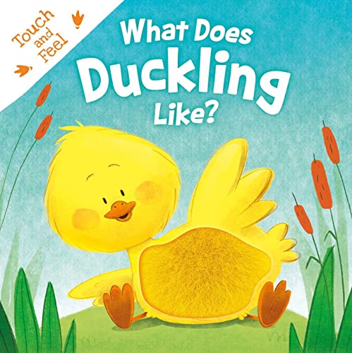 Beispielbild fr What Does Duckling Like?: Touch & Feel Board Book zum Verkauf von HPB-Blue