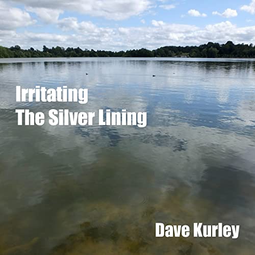 Stock image for Irritating the Silver Lining for sale by Chiron Media