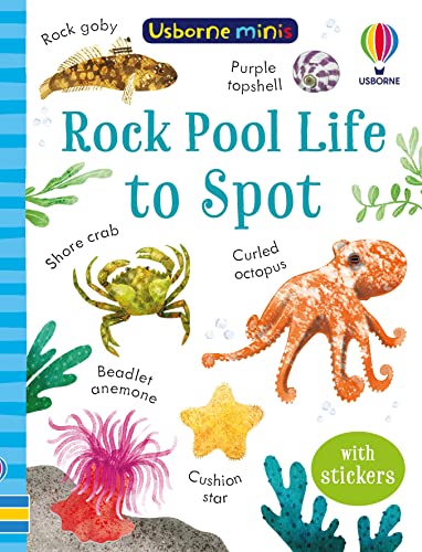 Imagen de archivo de Mini Books Rock Pool Life To Spot a la venta por GreatBookPrices