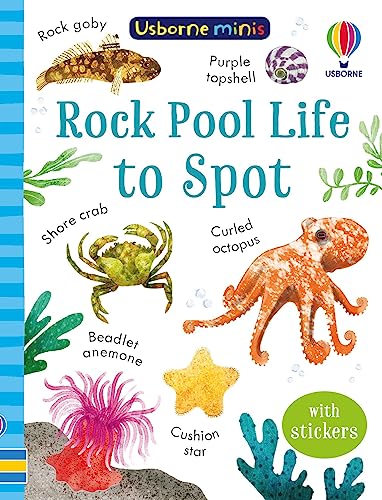 Stock image for Mini Books Rock Pool Life To Spot for sale by GreatBookPrices