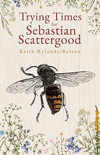 Beispielbild fr Trying Times for Sebastian Scattergood zum Verkauf von WorldofBooks