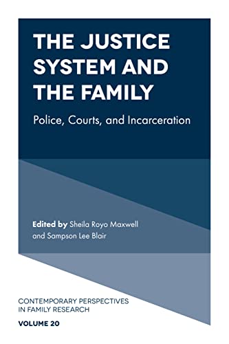 Stock image for The Justice System and the Family for sale by Blackwell's