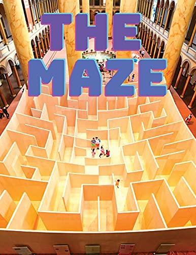 Stock image for Maze Puzzles Book for sale by GreatBookPrices