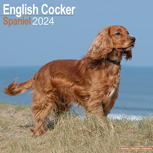 Beispielbild fr Cocker Spaniel Calendar - English Cocker Spaniel - Dog Breed Calendars - 2023 - 2024 wall calendars - 16 Month by Avonside zum Verkauf von GF Books, Inc.