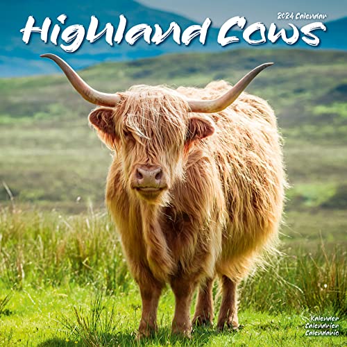 Stock image for Cows Calendar - Calendars 2023 - 2024 Wall Calendars - Animal Calendar - Highland Cows 16 Month Wall Calendar by Avonside for sale by GF Books, Inc.