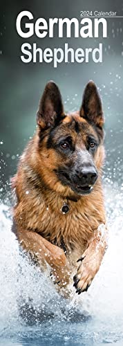 Imagen de archivo de German Shepherd Slim Calendar 2024 | Dog Breed Slimline Calendar - 12 Month a la venta por WorldofBooks