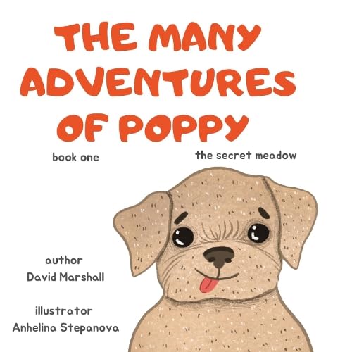 Imagen de archivo de The Many Adventures Of Poppy - The Secret Meadow a la venta por PBShop.store US